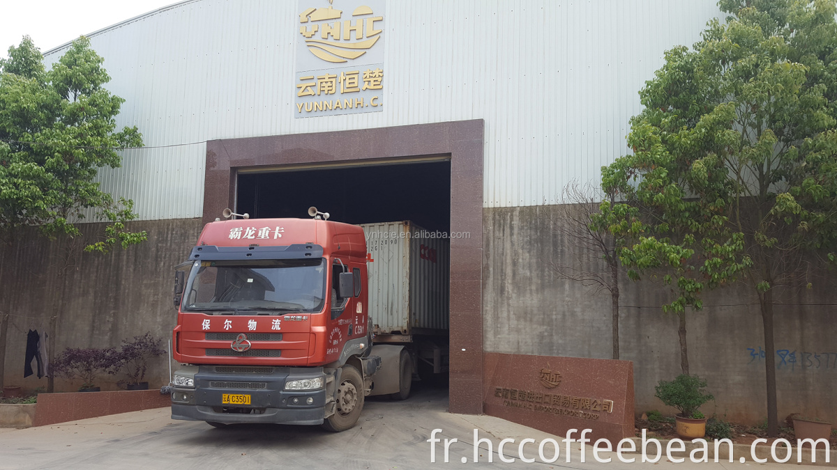 Grains de café verts lavés du yunnan arabica chinois, catégorie A, écran 15-16